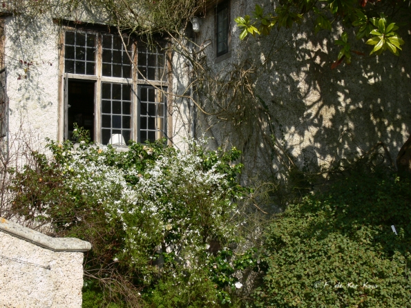 Bois des Moutiers (116) mars 2012